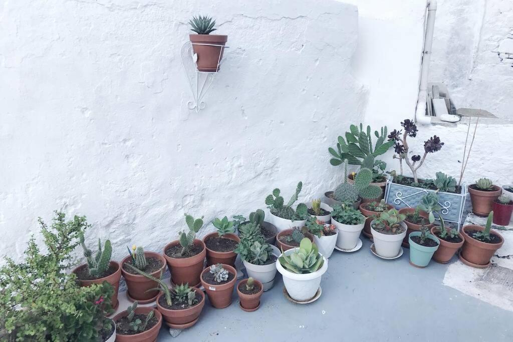 Little Cactus Villa Serifos Town Exterior photo